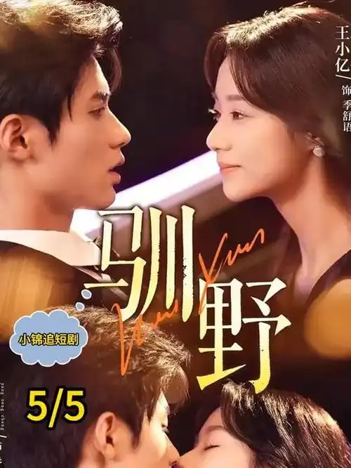 苍穹之翼 电视剧 2026